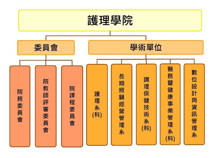 護理學院組織架構圖片